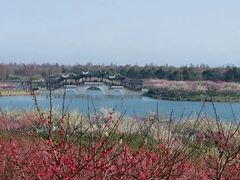 -上海海湾国家森林公园