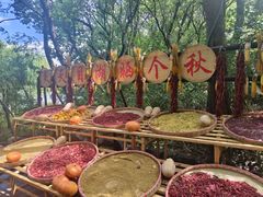 -天目湖山水园