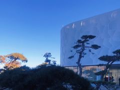 -罗红摄影艺术馆