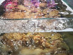 -蟹之国·精品蟹料理(极地店)