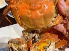 -金龙·打边炉(南京西路店)