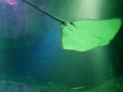 -沈阳海洋探索中心