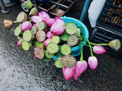 -南门绿玉农贸市场