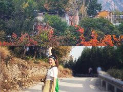 -云台山风景名胜区