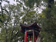 -莲湖公园