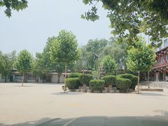 -东方巨龟苑景区