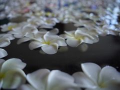 -七彩云南古滇温泉山庄