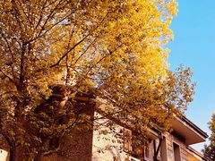 -思南公馆商业街