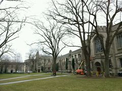 -普林斯顿大学