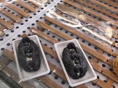 -奈雪的茶(中粮祥云小镇店)