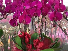 -亭亭鲜花店(中山北路店)