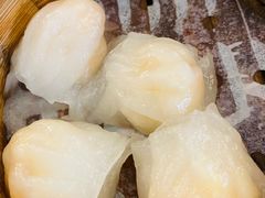 虾饺-捷信牛奶甜品世家(五道口店)