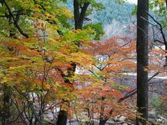 -丹东天桥沟景区