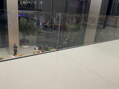 -Apple零售店(苏州店)