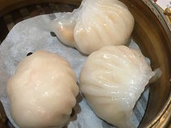 -糖朝(尖沙咀店)