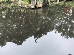 -南岳大庙
