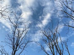 -映月湖中央公园