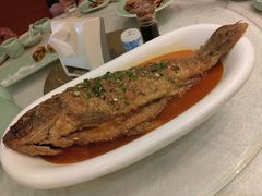 颐祥焖鲤鱼-河东颐祥阁(世贸店)
