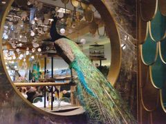 餐具摆设-雀蓝川菜(奥体广场店)