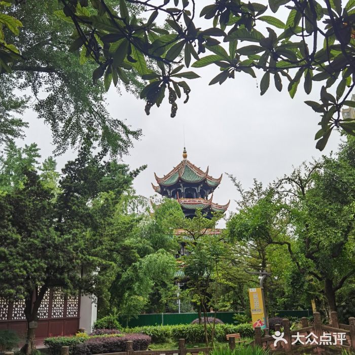 望江楼公园图片