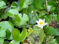 -国家植物园南园