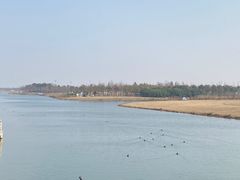 -春花秋色城市公园