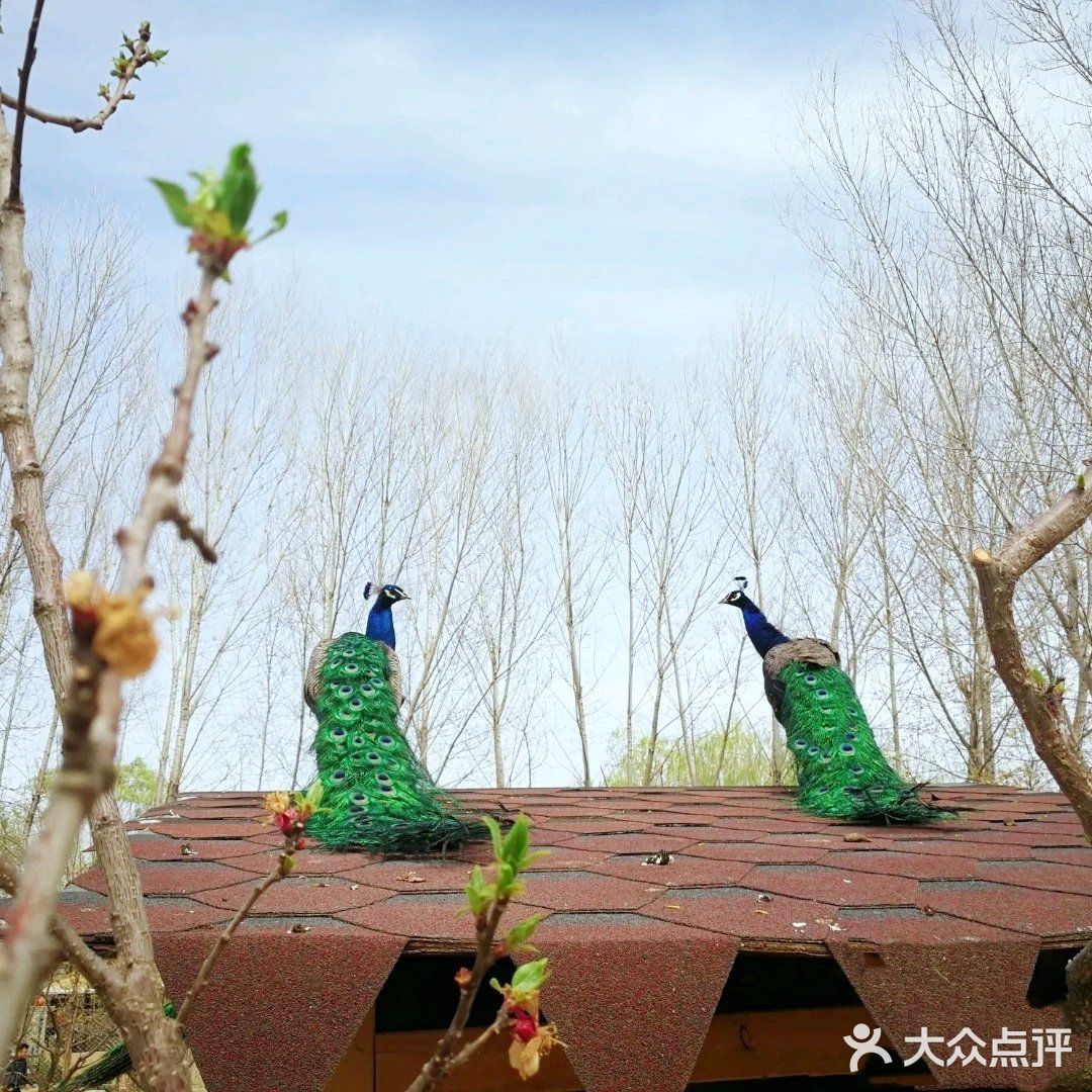 亲近大自然🌾亲近小动物🐘【遛娃必去】