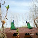 亲近大自然🌾亲近小动物🐘【遛娃必去】