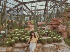 -华南国家植物园-售票处