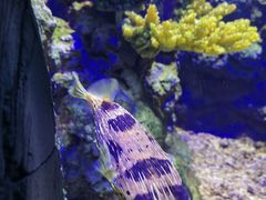 -郑州海洋馆