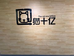-猫十亿·布偶金渐层·曼基康矮脚猫舍(青年路店)