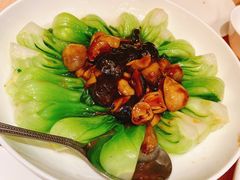 群菇菜心-楼外楼(玉泉店)
