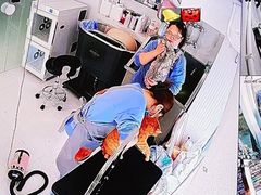 -鼎级派宠物(中南店)