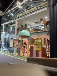 -奈尔宝·儿童乐园·亲子餐厅(星河湾店)