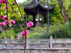 -杭州植物园