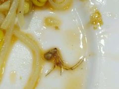 -龙梅肥肠鱼(明瓦廊店)