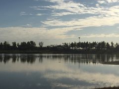 -青岛西海岸隆和福朋喜来登酒店