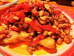 -柴窝堡22号辣子鸡·传承新疆菜