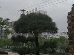 -徽三说·土徽菜·中国徽菜连锁品牌(一中店)