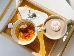 -猫小主咖啡·猫咖cat cafe(福田店)