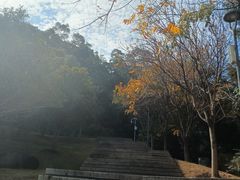-牛岗山公园