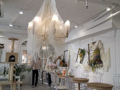 大堂-共舞时光猫咖·狗咖(新街口店)