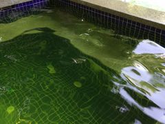 -碧桂园润杨溪谷温泉酒店