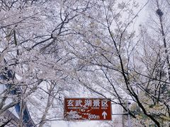-鸡鸣寺