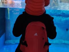 -芜湖新华联大白鲸海洋公园