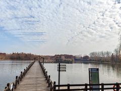 -溱湖国家湿地公园