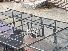 -无锡动物园·太湖欢乐园