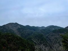 -四明山国家森林公园