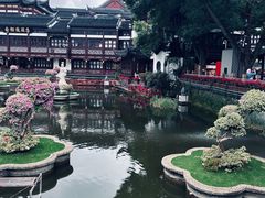 -城隍庙小礼品市场(福佑商厦福佑路店)