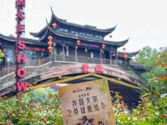 -杭州宋城